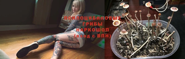 apvp Алзамай
