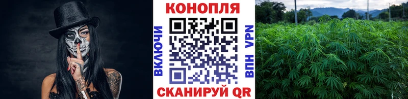 Бошки Шишки гибрид  Геленджик 